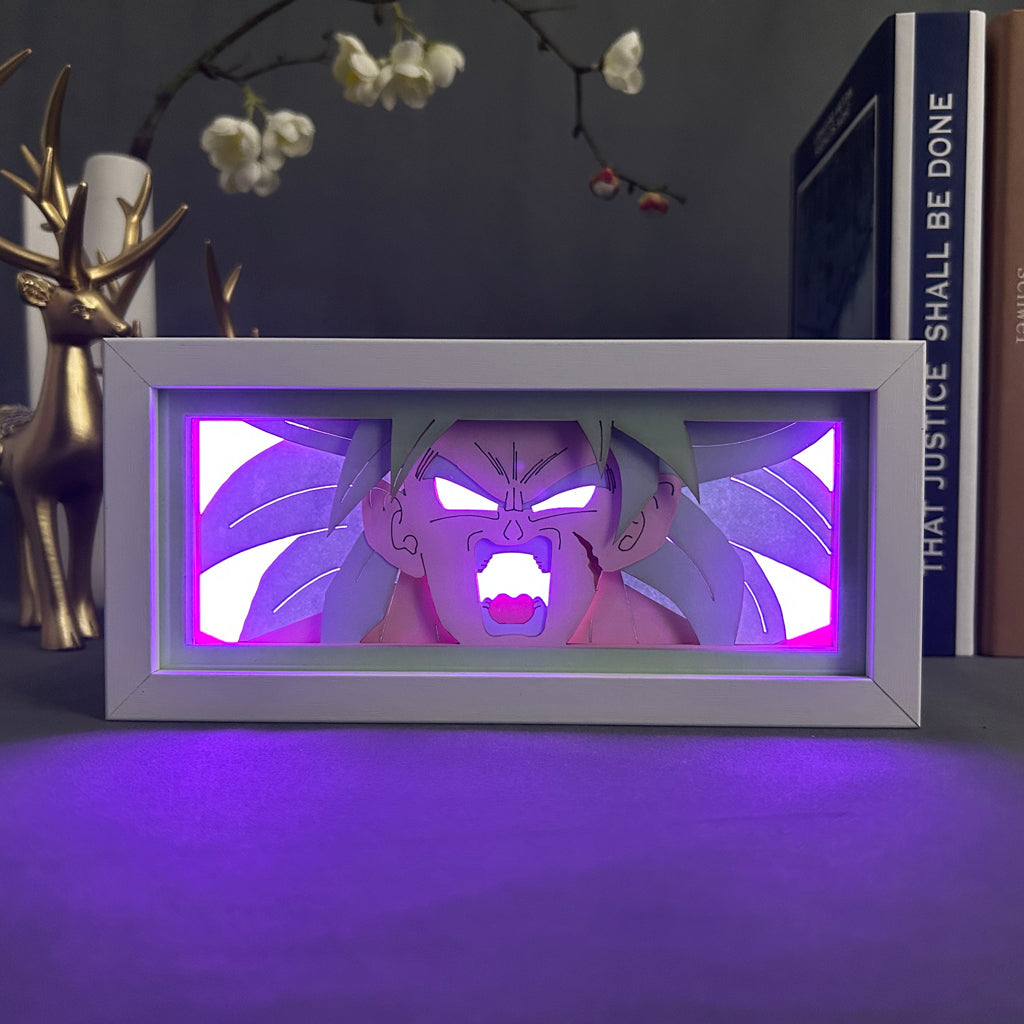 Broly Anime-Leuchtkasten! (1)